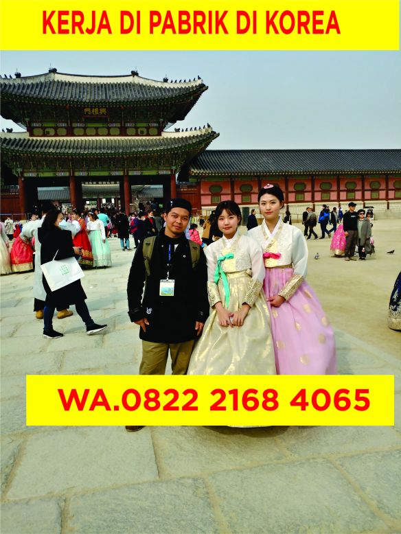 lowongan kerja di korea tourism organization